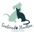 Fundación Sintiendo Huellas